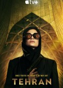 德黑兰 第一季 Tehran            (2020)